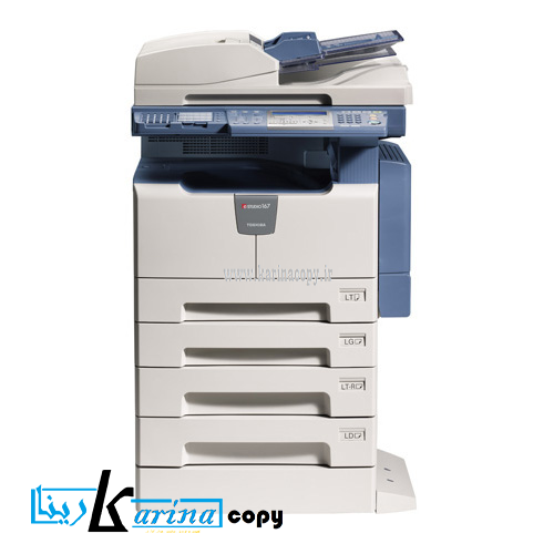 estudio167_4_zoom